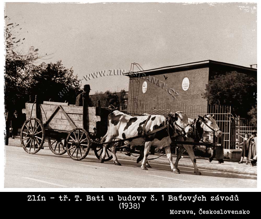 Zlín - tř. Tomáše Bati - u budovy č. 1 v roce 1938